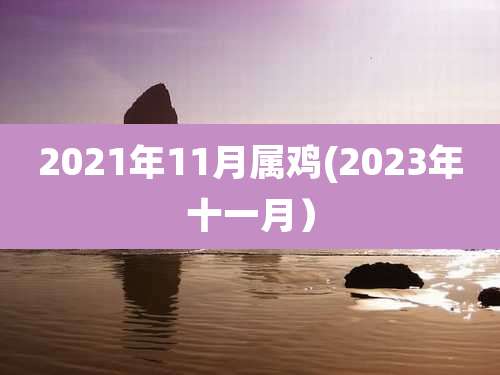 2021年11月属鸡(2023年十一月)