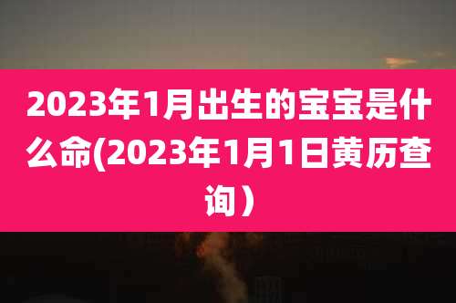 2023年1月出生的宝宝是什么命(2023年1月1日黄历查询）