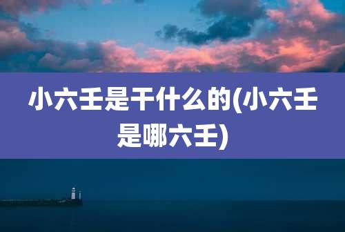小六壬是干什么的(小六壬是哪六壬)