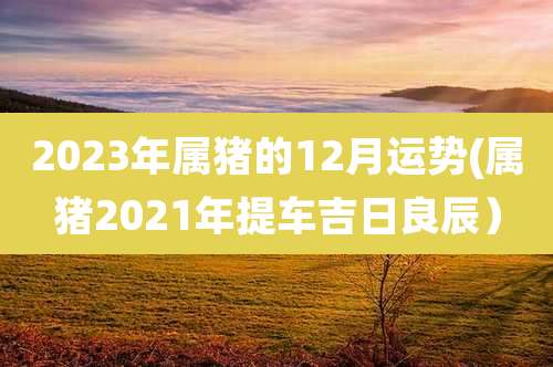 2023年属猪的12月运势(属猪2021年提车吉日良辰)