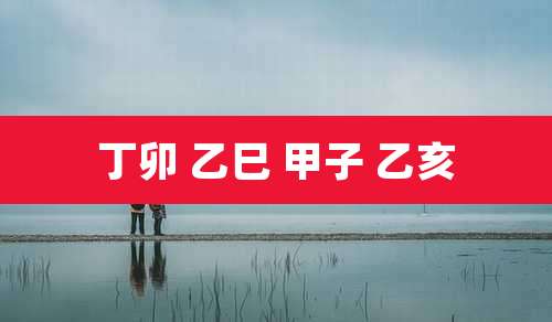 丁卯 乙巳 甲子 乙亥