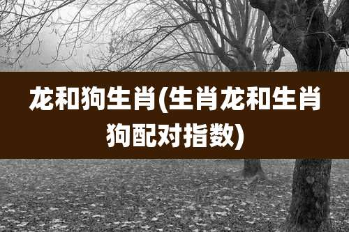 龙和狗生肖(生肖龙和生肖狗配对指数)