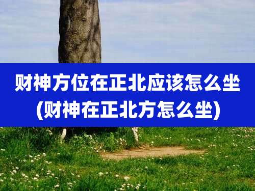 财神方位在正北应该怎么坐(财神在正北方怎么坐)