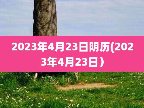 2023年4月23日阴历(2023年4月23日）