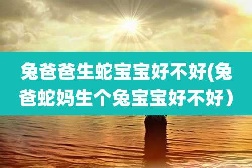 兔爸爸生蛇宝宝好不好(兔爸蛇妈生个兔宝宝好不好)