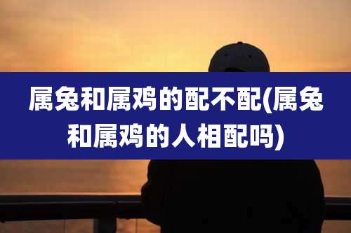 属兔和属鸡的配不配(属兔和属鸡的人相配吗)