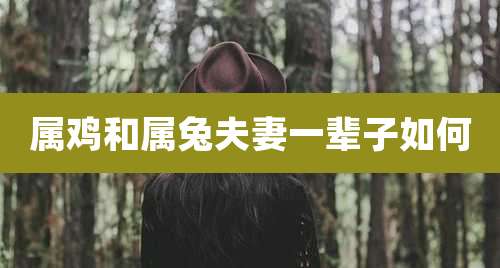 属鸡和属兔夫妻一辈子如何