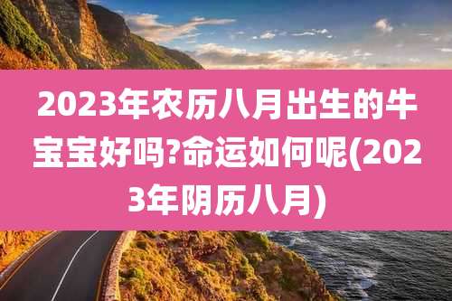 2023年农历八月出生的牛宝宝好吗?命运如何呢(2023年阴历八月)