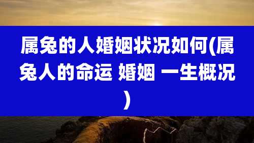 属兔的人婚姻状况如何(属兔人的命运 婚姻 一生概况)