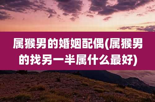 属猴男的婚姻配偶(属猴男的找另一半属什么最好)