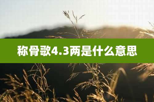 称骨歌4.3两是什么意思