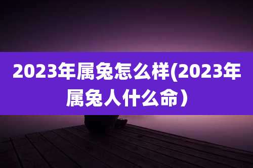 2023年属兔怎么样(2023年属兔人什么命)
