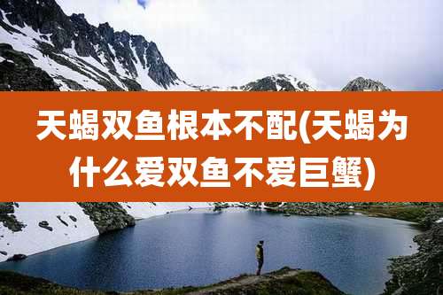 天蝎双鱼根本不配(天蝎为什么爱双鱼不爱巨蟹)