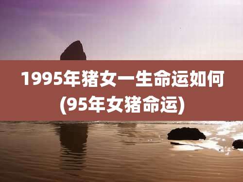 1995年猪女一生命运如何(95年女猪命运)