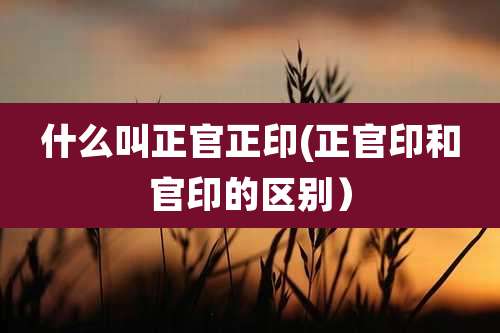 什么叫正官正印(正官印和官印的区别)