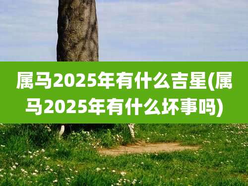 属马2025年有什么吉星(属马2025年有什么坏事吗)