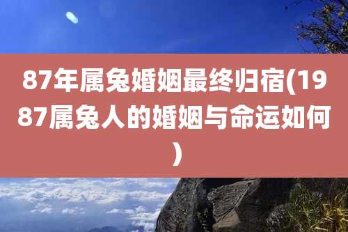 87年属兔婚姻最终归宿(1987属兔人的婚姻与命运如何)