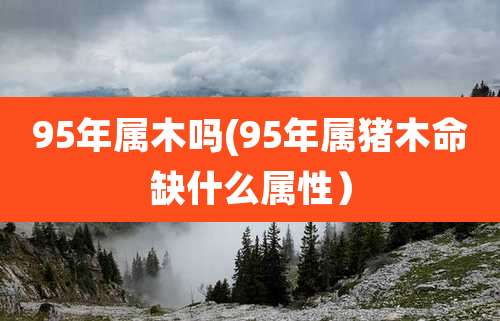 95年属木吗(95年属猪木命缺什么属性）