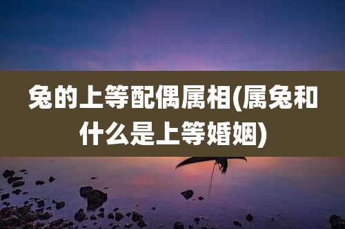 兔的上等配偶属相(属兔和什么是上等婚姻)