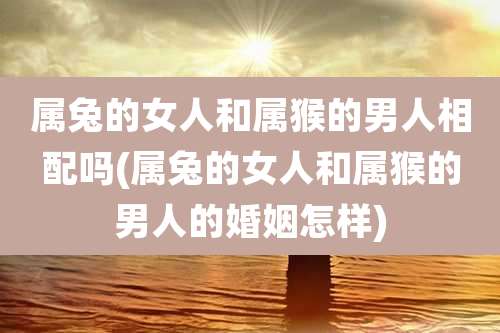 属兔的女人和属猴的男人相配吗(属兔的女人和属猴的男人的婚姻怎样)