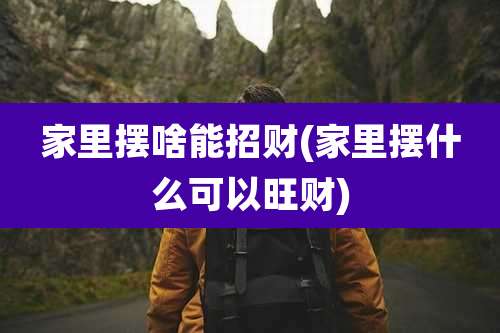 家里摆啥能招财(家里摆什么可以旺财)