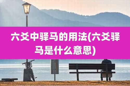 六爻中驿马的用法(六爻驿马是什么意思)