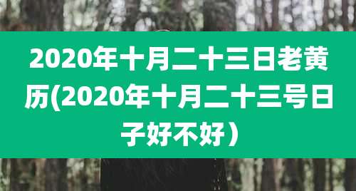 2020年十月二十三日老黄历(2020年十月二十三号日子好不好)