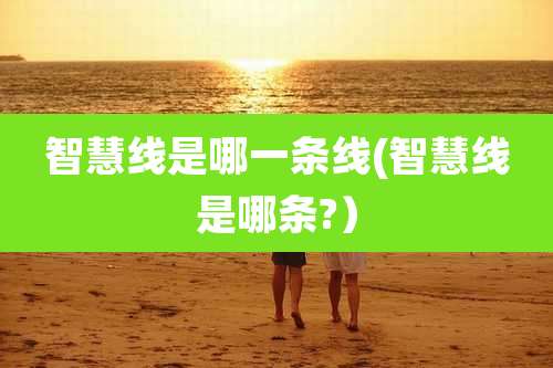 智慧线是哪一条线(智慧线是哪条?）