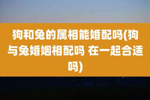 狗和兔的属相能婚配吗(狗与兔婚姻相配吗 在一起合适吗)