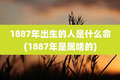 1887年出生的人是什么命(1887年是属啥的)