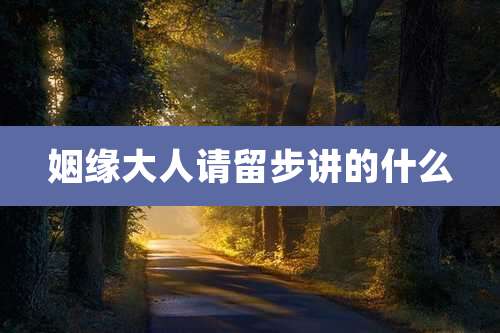姻缘大人请留步讲的什么