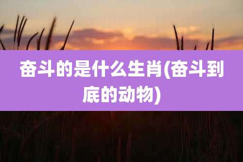 奋斗的是什么生肖(奋斗到底的动物)