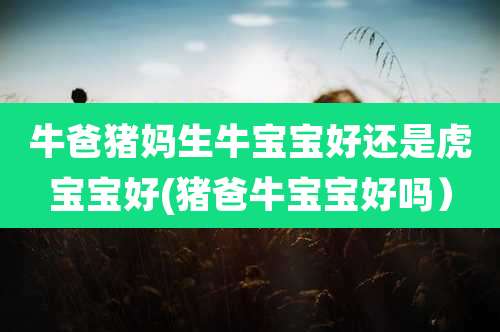 牛爸猪妈生牛宝宝好还是虎宝宝好(猪爸牛宝宝好吗）