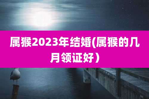 属猴2023年结婚(属猴的几月领证好）