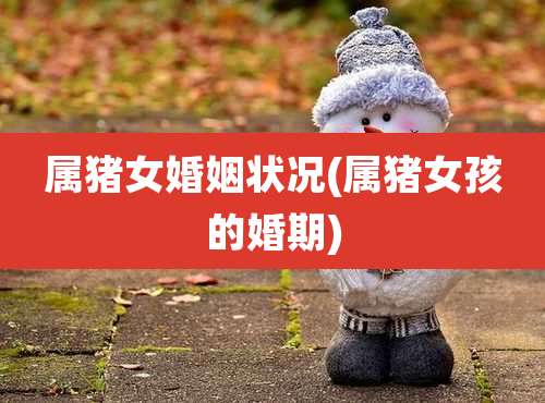 属猪女婚姻状况(属猪女孩的婚期)