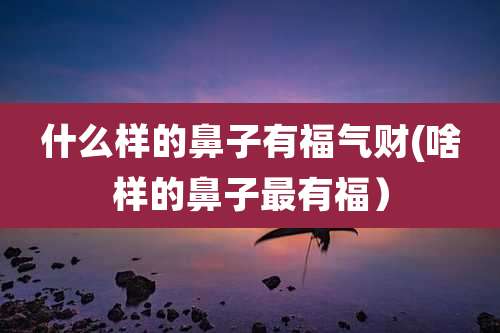 什么样的鼻子有福气财(啥样的鼻子最有福)