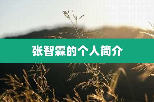 张智霖的个人简介