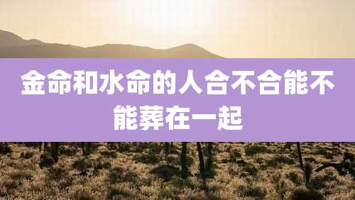 金命和水命的人合不合能不能葬在一起