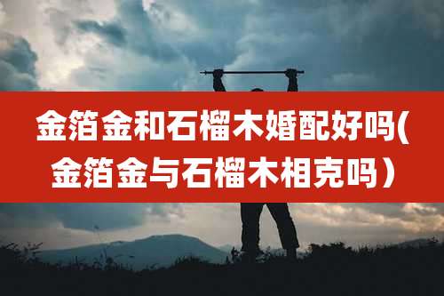 金箔金和石榴木婚配好吗(金箔金与石榴木相克吗)