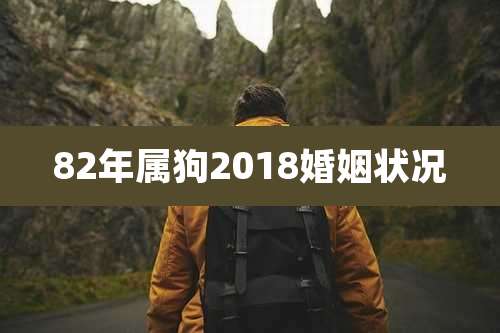82年属狗2018婚姻状况