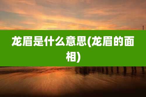龙眉是什么意思(龙眉的面相)