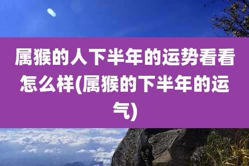 属猴的人下半年的运势看看怎么样(属猴的下半年的运气)