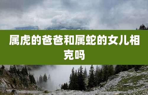 属虎的爸爸和属蛇的女儿相克吗