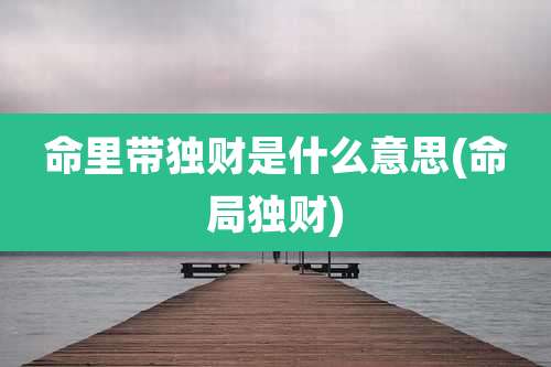 命里带独财是什么意思(命局独财)