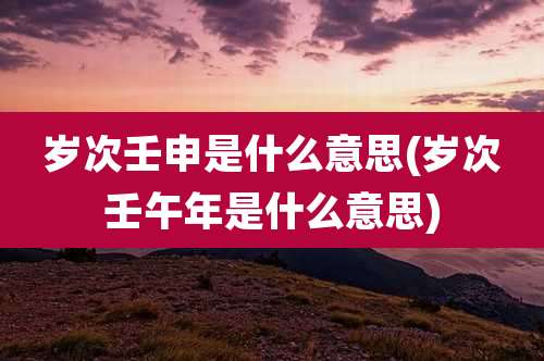 岁次壬申是什么意思(岁次壬午年是什么意思)