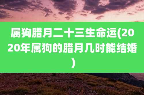 属狗腊月二十三生命运(2020年属狗的腊月几时能结婚)
