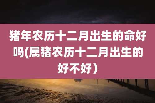 猪年农历十二月出生的命好吗(属猪农历十二月出生的好不好）