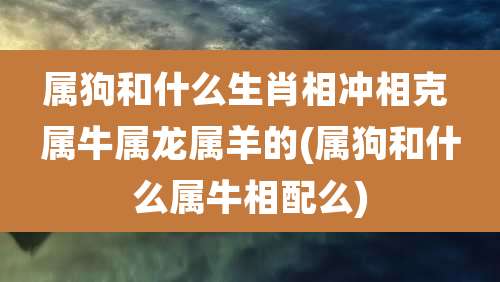 属狗和什么生肖相冲相克 属牛属龙属羊的(属狗和什么属牛相配么)