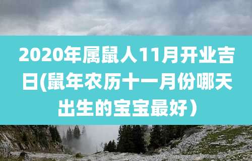 2020年属鼠人11月开业吉日(鼠年农历十一月份哪天出生的宝宝最好)