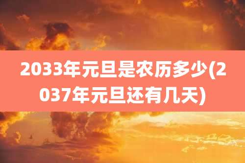 2033年元旦是农历多少(2037年元旦还有几天)